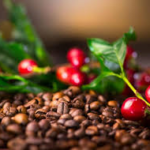 Coffee Futures Climb Ahead of Brazil’s 2026/27 Crop Outlook