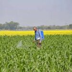 Budget 2026–27: Agriculture Sector Pushes for Infrastructure, Climate Resilience and Self-Reliance