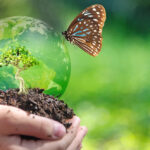 Sustainable Farming Innovation: Bacteria Reduces Pollution and Hunger