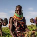 2026 Declared International Year of the Woman Farmer by NASDA