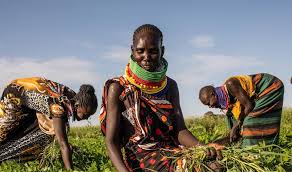 2026 Declared International Year of the Woman Farmer&hellip;