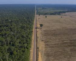 Collapse of Amazon Soy Moratorium…