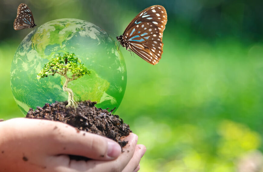 Sustainable Farming Innovation: Bacteria Reduces Pollution and Hunger