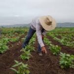 Oregon Opens Applications for International Business Awards Celebrating Global Trade and Innovation