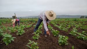 Oregon Opens Applications for International&hellip;