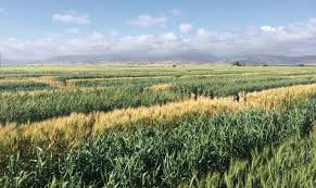 Over 70 FFA Members Explore&hellip;