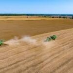 U.S. Farm Business Update: Broiler Industry Signals Growth Momentum into 2026