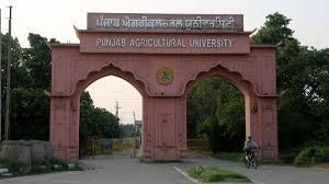Punjab Agricultural University Joins BRICS Network to Advance Sustainable Agriculture Research