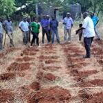 India Achieves Regenerative Agriculture Milestone with Soil Carbon Credit Approval