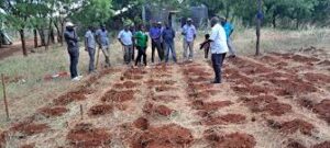 India Achieves Regenerative Agriculture Milestone with Soil Carbon&hellip;