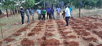 India Achieves Regenerative Agriculture Milestone with Soil Carbon Credit Approval