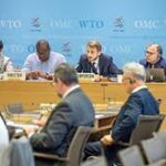 WTO Committee Examines Global Farm Policies and Food Security Challenges