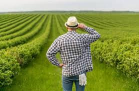 Spain Launches Initiatives to Improve Farmland Access for&hellip;