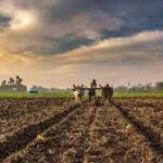 Major Agricultural Infrastructure Boost in Tamil Nadu