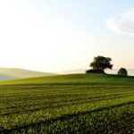 GHG Protocol Establishes First Global Agricultural Standard for Emissions and Removals