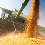 U.S. Farm Income Projected to Decline in 2026 Despite Higher Government Support