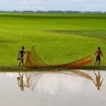 World Wetlands Day Underscores Critical Role of Wetlands in Agriculture and Ecosystem Health