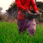 Kerala Launches NAWO-DHAN Scheme to Revive Fallow Land