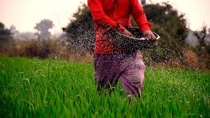 Kerala Launches NAWO-DHAN Scheme to Revive Fallow Land