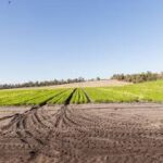 RLF AgTech Enters Indian Market with Major Distribution Agreements