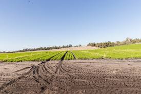 RLF AgTech Enters Indian Market with Major Distribution Agreements