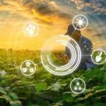 Cyberattacks Target Farms and Food Companies as Agriculture Goes Digital