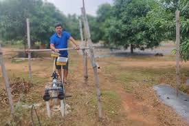 Japan’s Farm, Forestry, and Fishery Exports Reach Record High in 2025