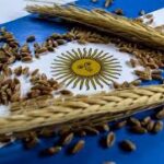 Argentina Wheat Production Forecast to Reach Record 27.5 Million Tonnes