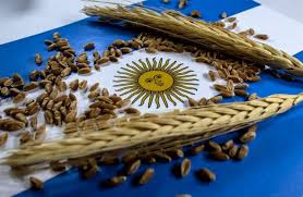 Argentina Wheat Production Forecast to Reach Record 27.5&hellip;