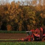 French Agritech Startup UBEES Secures €8 Million to Scale Bee-Powered Regenerative Farming