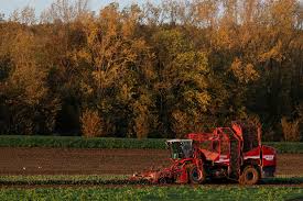 French Agritech Startup UBEES Secures €8 Million to Scale Bee-Powered Regenerative Farming