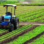 Agriculture GVA Grows by 10.4% in 2024–25, Reflecting Broad-Based Sectoral Strength