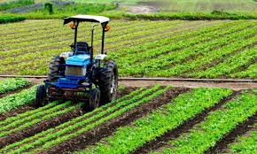 Agriculture GVA Grows by 10.4% in 2024–25, Reflecting Broad-Based Sectoral Strength