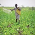 10,000 Farmer Producer Organisations Formed Under Central Scheme; Over 2.19 Million Women Farmers Join the Initiative