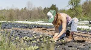 International Year of the Woman Farmer Kicks Off to Recognize Women’s Role in Global Agriculture