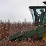 U.S. GOP Draft Farm Bill Sparks Debate Over Animal Welfare Provisions