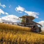 USDA Outlook Signals Tighter Global Supplies, Continued Market Pressures