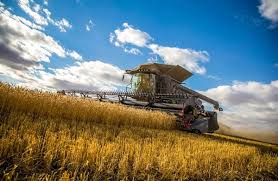 USDA Outlook Signals Tighter Global Supplies, Continued Market&hellip;