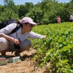 Australia’s Farm Sector Posts 20-Year Growth High, Strengthening Its Role in Net-Zero Agriculture
