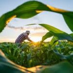 Australia Elevates Food Security Within National Defense Strategy, Focuses on Farm Input Resilience