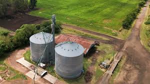 Argentine Farmers Cautiously Optimistic After Rains, but Harvest&hellip;