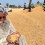 Indian Farmers Seek Clarity on Agriculture’s Role in US Trade Deal