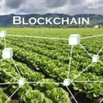 Blockchain in Agriculture Market Set for Explosive Growth