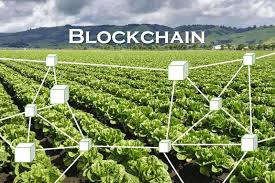 Blockchain in Agriculture Market Set for Explosive Growth