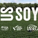 U.S. Soy Exports Post Strong Growth in 2024–25 Marketing Year