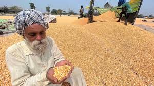 Indian Farmers Seek Clarity on Agriculture’s Role in US Trade Deal