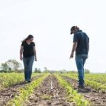 EPA Grants Federal Registration to Bayer’s Low-Volatility Dicamba Herbicides in 34 States