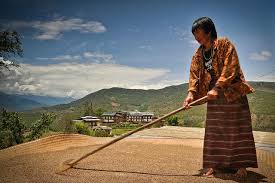 Bhutan Strengthens Agricultural Productivity and Resilience Amid Challenges