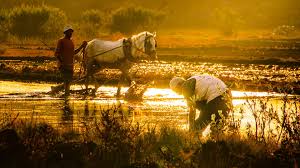 FAO-WMO Report Warns of Rising Extreme Heat Threats&hellip;