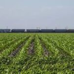 Agri-Pulse Podcast Examines 2026 U.S. Farm Economy Outlook